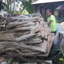 Gulf Coast Trees - Tree Service