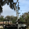 Tree Tech-Tree Service gallery