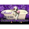Shantel Mobile Salon & Spaw gallery