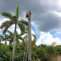 Seminole Tree Service