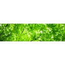 Laramie Lawnery, LLC - Landscape Contractors