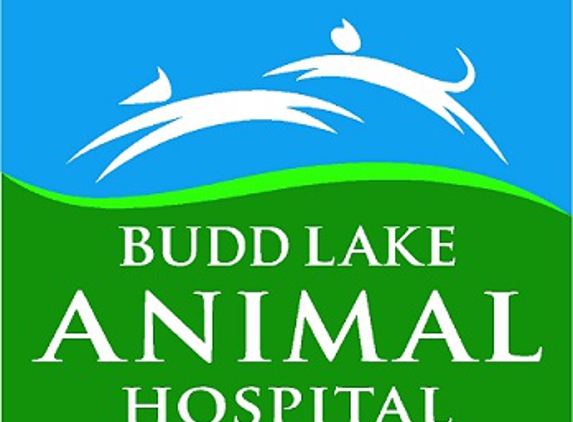 Budd Lake Animal Hospital - Budd Lake, NJ