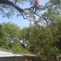 A&K Tree Service and More