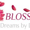 Blossom | Dreams by Design gallery