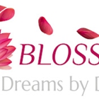 Blossom | Dreams by Design