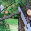 T & D Tree Service gallery