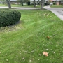 Bassett Lawncare