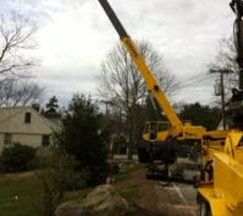 Stumpy's Tree Service - Ashland, MA