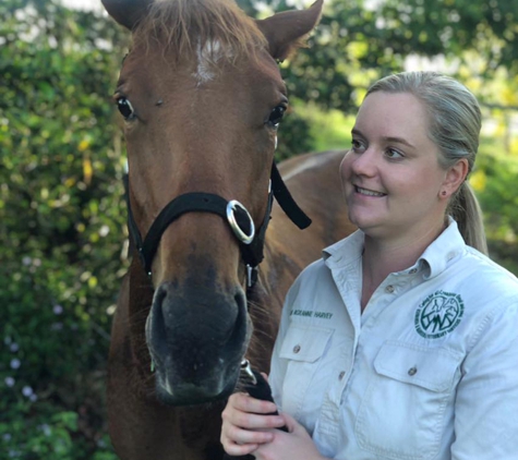 Mareeba Veterinary Surgery - Mareeba, QLD