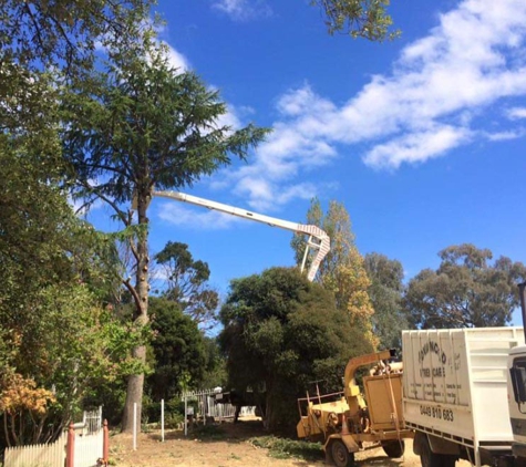Advanced Tree Care - Bonnie Doon, VIC
