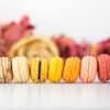 Le Macaron Dolphin Mall gallery