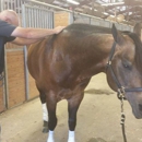Sunshine Ponderosa Board & Training/ Biocinergetique Therapy - Horse Training