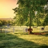 Meador Ranch & Farm gallery