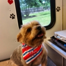 Harts Mobile Dog Grooming - Dog & Cat Grooming & Supplies