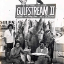 Gulfstream Party Fishing Boat - Fishing Charters & Parties