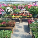 Mister's Green Thumb - Garden Centers