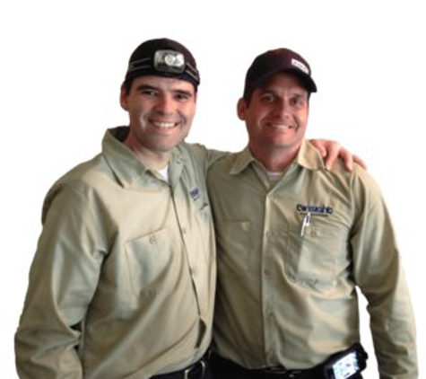 Massey Services Pest Control - Charlotte, NC