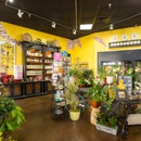 Bumblebee Blooms Flower Boutique - Florists
