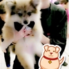 Bow-Wow Wow gallery