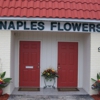 Naples Flowers gallery