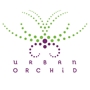 Urban Orchid