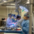 Elite Plastic Surgery - Chandler AZ - Clinics