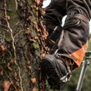 Team Gale Tree Service - Tree Service