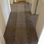 Gallery Image Number 6