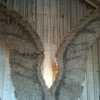 Trica Inc gallery