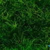 Bixler's Lawn Service gallery