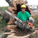 Green's Tree & Landscape Inc - Tree Service