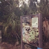 Everglades Safari Park gallery