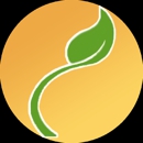 Parent and Child Psychological Services - Psychotherapists