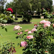Gallery Image Number 6