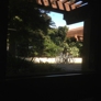Photo #01