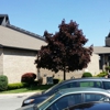 St Robert Bellarmine gallery