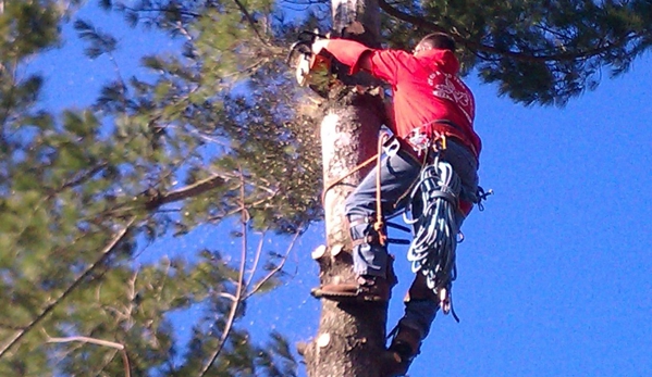 Out On A Limb Tree Care, Inc - Dover, PA