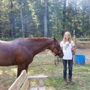 Little Bit's Horse Sense & Horse Training - Horse Training