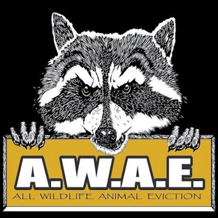 All Wildlife Animal Eviction - Crystal Lake, IL