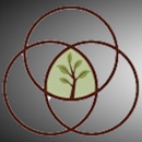 Whole Body Health - Health Clubs