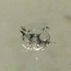 All In Windshield Repair gallery