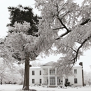 Dewberry Plantation
