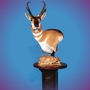 Lasting Impressions Taxidermy