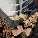 Payless Plumbing - Plumbers