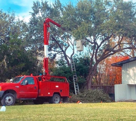 Dream Tree Services - San Antonio, TX