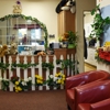 The Rainbow School gallery