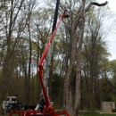 Andys tree care - Tree Service