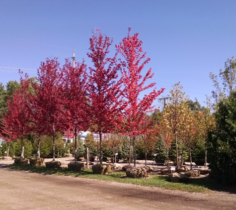 Auburn Oaks Nursery - Rochester Hills, MI