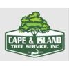 Cape & Island Tree Service LLC gallery