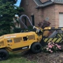 Full tilt Stump Grinding